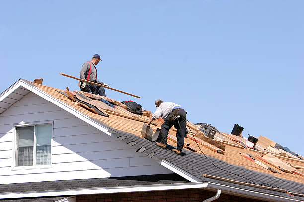Best Skylights  in Kent, OH